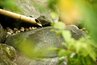 【施設】館内イメージ( Please enjoy your extraordinary stay.)