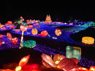 伊豆ぐらんぱる公園「グランイルミ」約600万球のLEDが彩る体験型イルミネーション♪