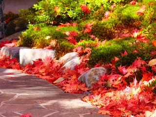 【施設】秋イメージ