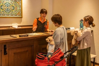 【ルシアン/フロント】