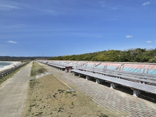 【周辺観光】増穂浦海岸 世界一長いベンチ