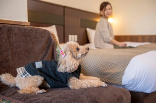 【ルシアンルーム/くつろぎ中】