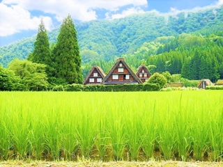 緑も映える白川郷