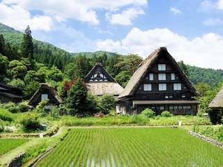 初夏の合掌集落