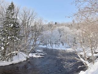 冬の阿寒川