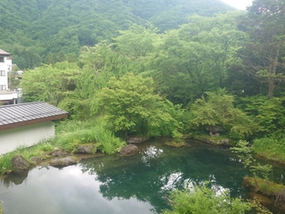 【禁煙】《仙岳荘》和室：窓からの眺望　お庭の池には鯉が泳いでいます