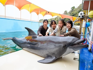 【観光】鳥羽湾めぐりとイルカ島(近鉄鳥羽駅から徒歩約10分)