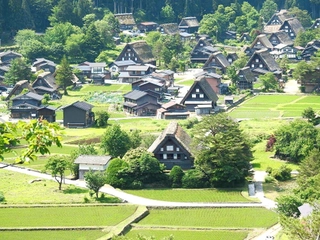 合掌集落 春