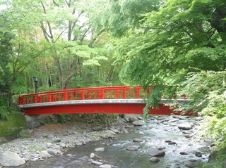 竹林の小径　桂橋　新緑