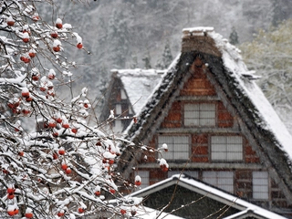 【景観】冬の合掌造り明善寺