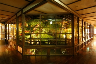 【館内回廊】大きな窓から望む修善寺の自然、昼は暖かい日差し、夜は美しいライトアップを…