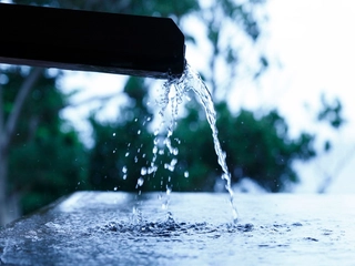 【大湯屋/海つばき】