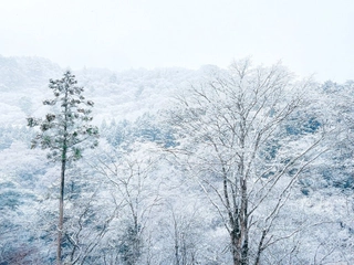 【外観】〈冬〉雪化粧した蓮月