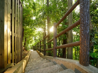 【観光】約70段の階段