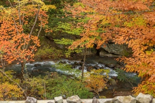 【貸切露天風呂】自然の音が心地よいBGMに