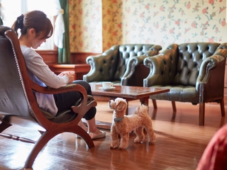 【ペットとお泊りルーム】 スタンダードツイン(30~35平米)