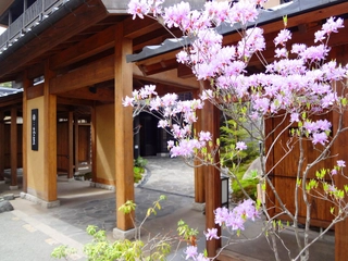 【外観】春/spring