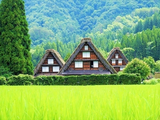 夏の日本の原風景