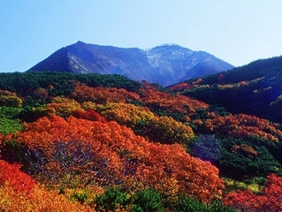 旭岳紅葉