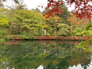 【雲場池】軽井沢方面へ足を延ばされる方はぜひお立ち寄りください。