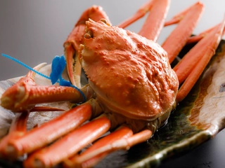 【津居山蟹尽くし】※11/6~3/31限定