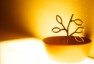 客室備品(アクセサリー入れ)