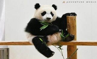 【観光:アドベンチャーワールド】