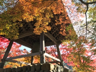 【修禅寺/紅葉】(11月中旬~12月上旬)
