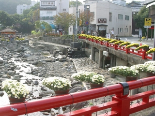 修善寺 菊花まつり
