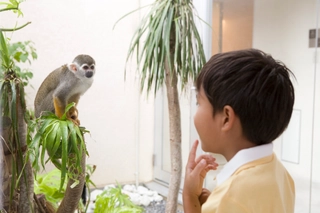館内外動物
