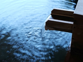 【大湯屋/海つばき】