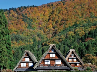 【景観】秋の合掌造り