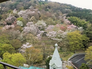 大浴場　湯上り処より