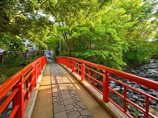【恋の橋めぐり】修善寺温泉街の5つの橋を渡って恋愛成就を願う旅※写真は桂橋