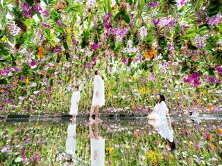 【周辺】チームラボ