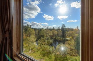 ■客室からの眺望■フォレストビュー(画像は一例です)