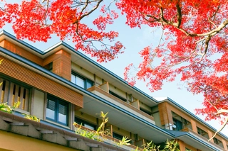 【外観】~紅葉~