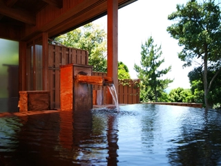 【大湯屋/海つばき】