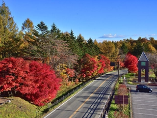 【周辺】道の駅「運動茶屋公園」(roadside station)