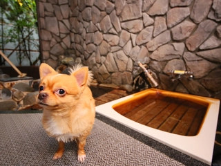 【ペット貸切風呂】…「瞑」愛犬・愛猫とご一緒に心身共にリラックス(有料)