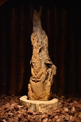 【コタンクルカムイ】