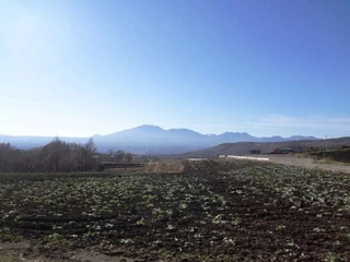 【観光】キャベツ畑と浅間山(Cabbage field and Mount Asama)
