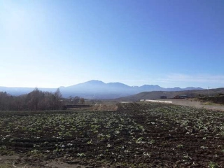 【観光】キャベツ畑と浅間山（Cabbage field and Mount Asama）