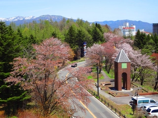 【観光】道の駅「運動茶屋公園」(春)/Roadside station