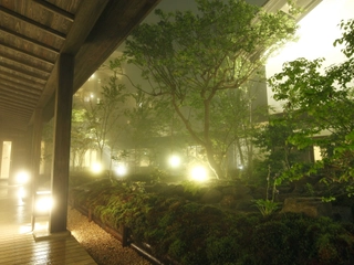 【施設】中庭(There is a small garden.)