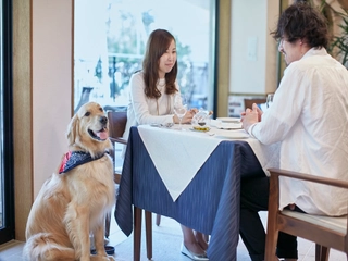 【レストラン】