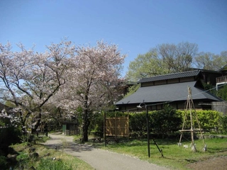 【春】豊かな自然に囲まれた“きらの里”春は館内でお花見が楽しめます♪