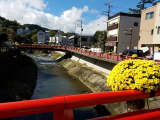【修善寺温泉/菊飾り】(10月上旬~11月中旬)