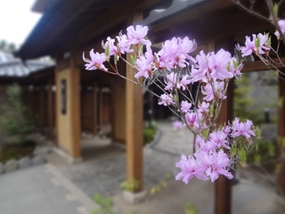 【施設】春イメージ