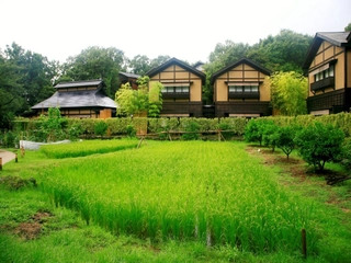 【離れ 竹ぶえ】敷地内の田んぼを囲うようにして建つ離れの客室